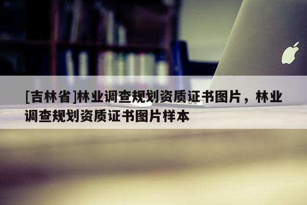 [吉林省]林業調查規劃資質證書圖片，林業調查規劃資質證書圖片樣本