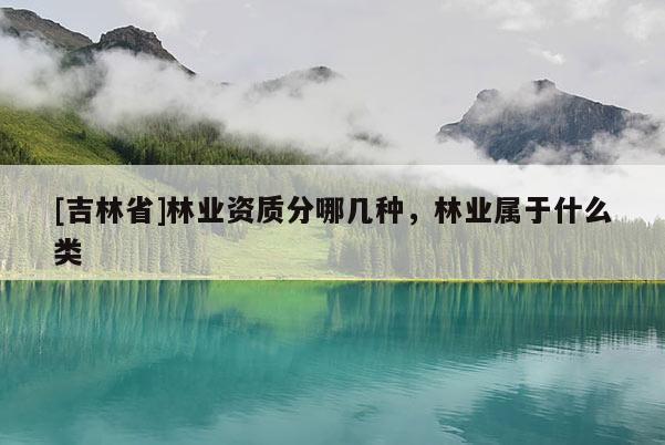 [吉林省]林業資質分哪幾種，林業屬于什么類