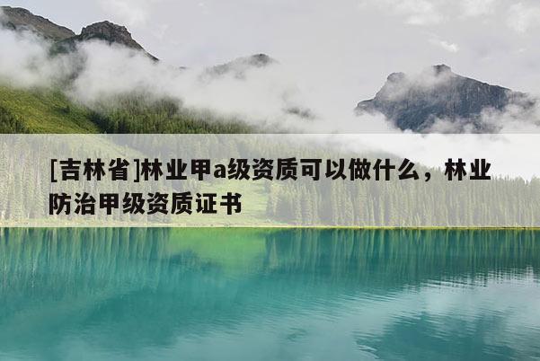 [吉林省]林業甲a級資質可以做什么，林業防治甲級資質證書