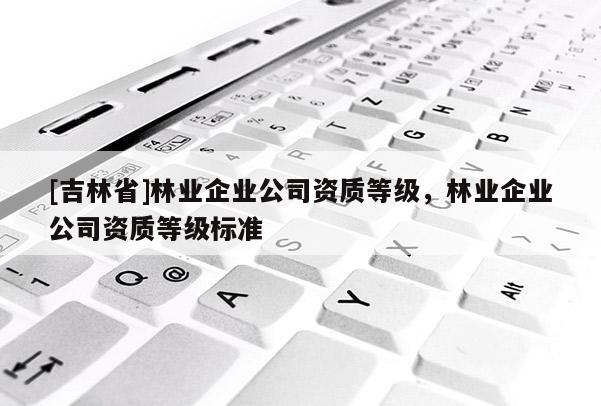 [吉林省]林業企業公司資質等級，林業企業公司資質等級標準