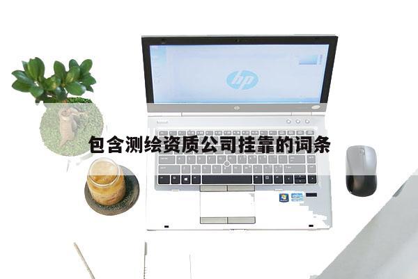 包含測繪資質公司掛靠的詞條