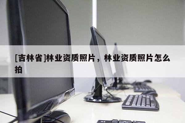 [吉林省]林業資質照片，林業資質照片怎么拍