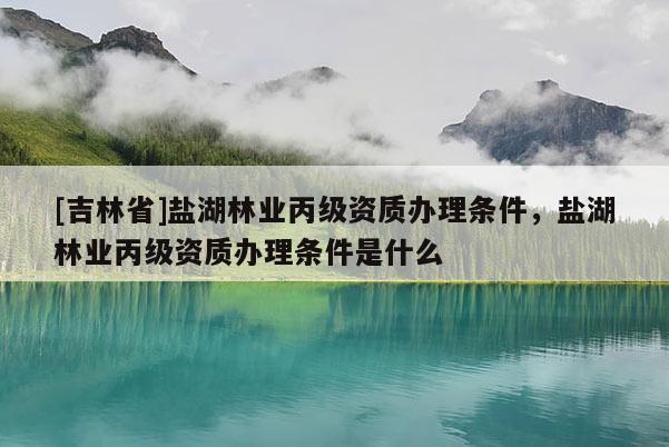 [吉林省]鹽湖林業丙級資質辦理條件，鹽湖林業丙級資質辦理條件是什么