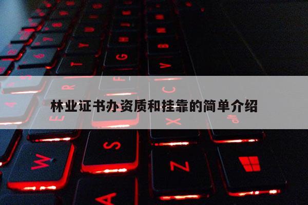 林業(yè)證書辦資質和掛靠的簡單介紹