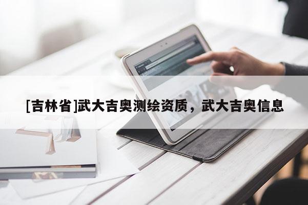 [吉林省]武大吉奧測繪資質，武大吉奧信息