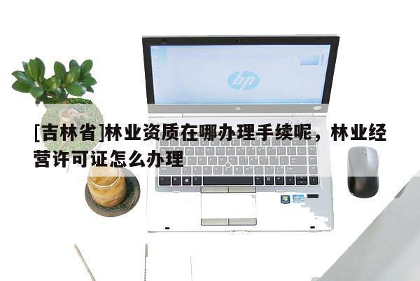 [吉林省]林業資質在哪辦理手續呢，林業經營許可證怎么辦理