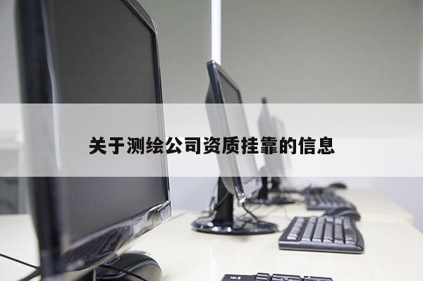 關(guān)于測繪公司資質(zhì)掛靠的信息