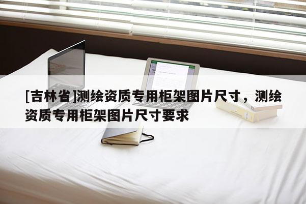 [吉林省]測(cè)繪資質(zhì)專用柜架圖片尺寸，測(cè)繪資質(zhì)專用柜架圖片尺寸要求