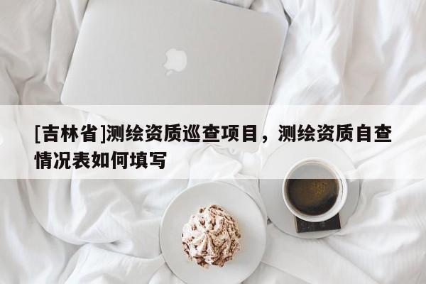[吉林省]測(cè)繪資質(zhì)巡查項(xiàng)目，測(cè)繪資質(zhì)自查情況表如何填寫