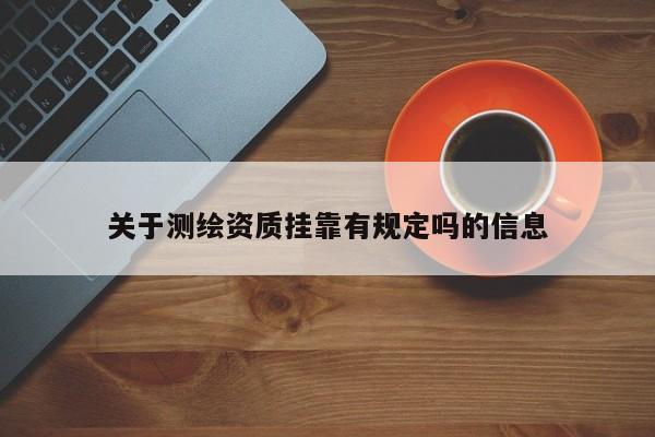 關于測繪資質掛靠有規定嗎的信息