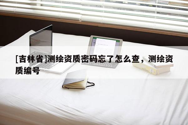 [吉林省]測繪資質密碼忘了怎么查，測繪資質編號