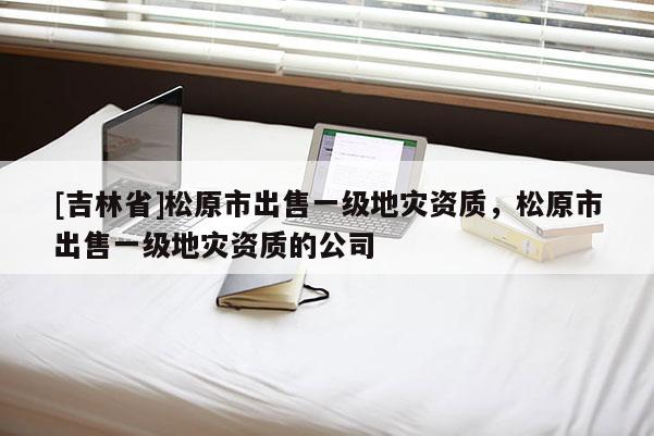 [吉林省]松原市出售一級地災資質，松原市出售一級地災資質的公司
